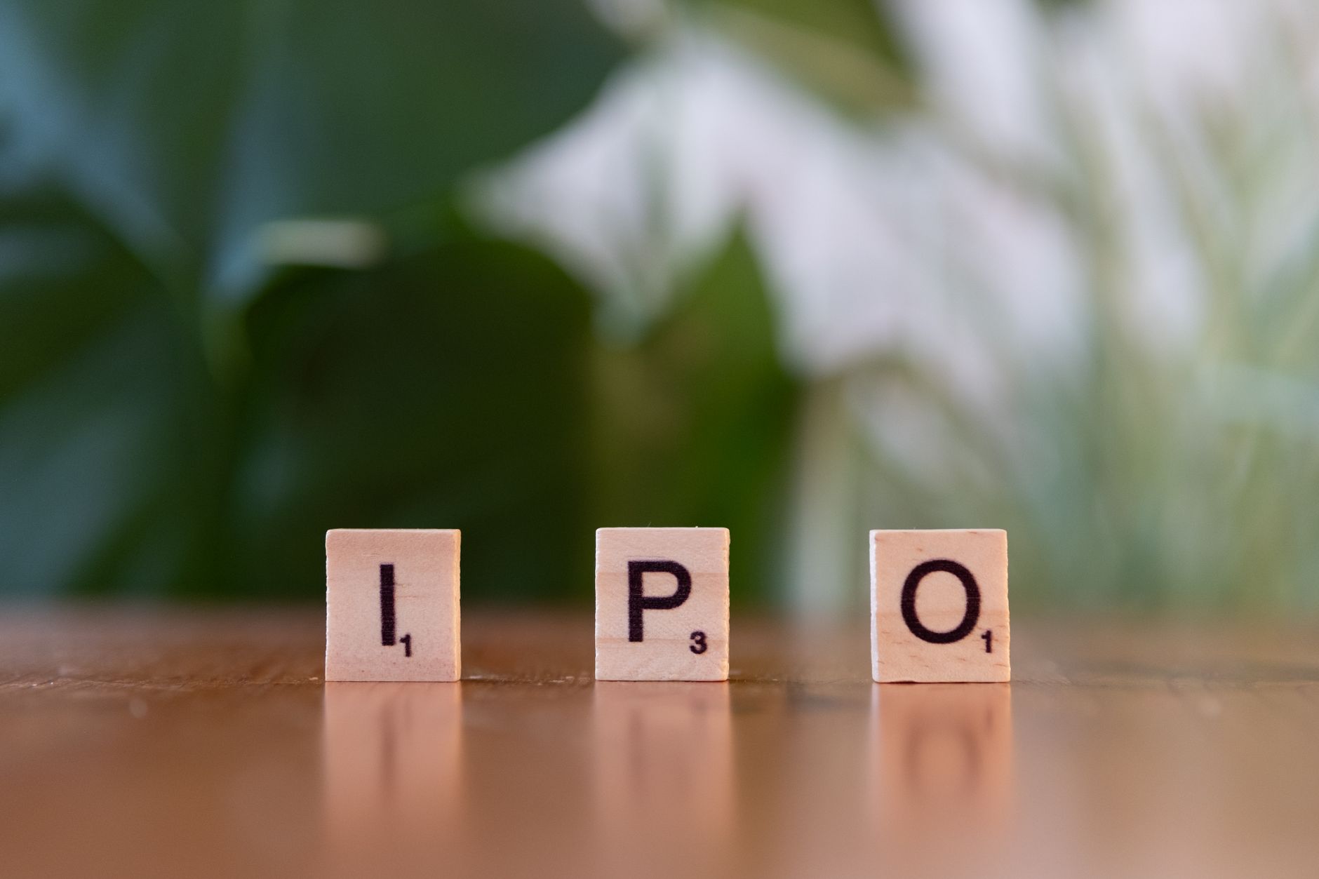 NSE IPO negative listing