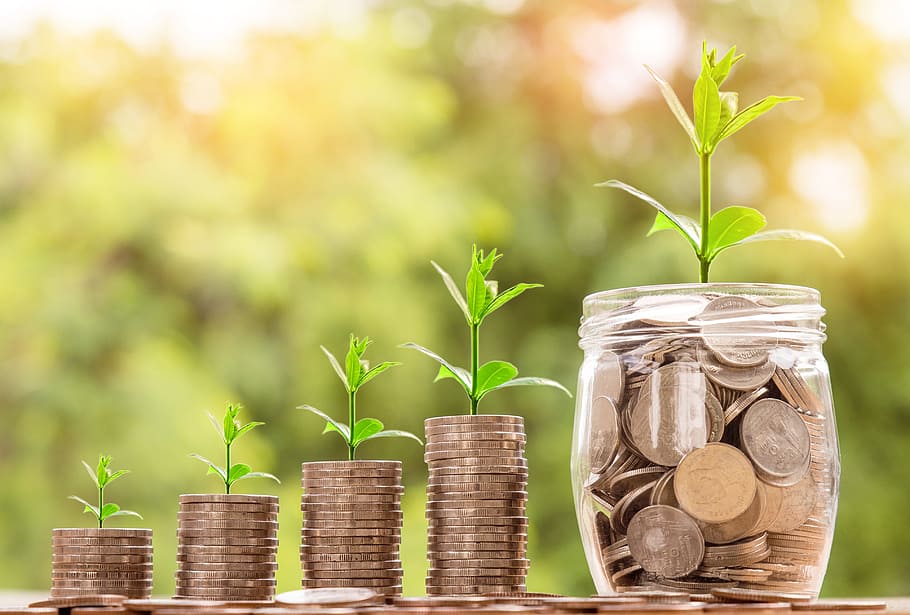 Stacks of coins with small plants growing beside them, symbolizing financial growth